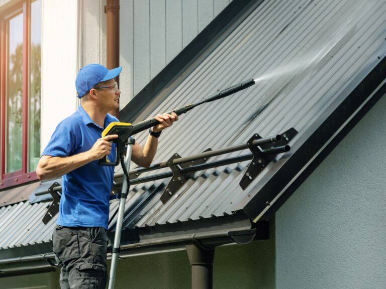 roof cleaning3