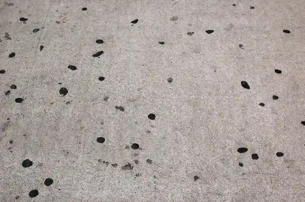 what are black spots on sidewalk