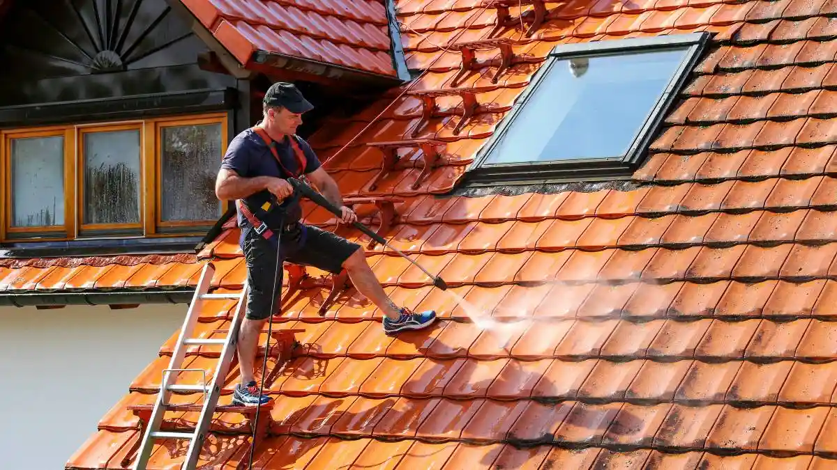 how much does roof cleaning cost​