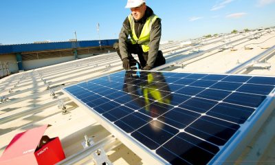How Solar Panel Guards Protect and Benefit Your Panels